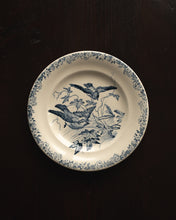 Lataa kuva Galleria-katseluun, Sini-valkoiset vintage lautaset (2kpl) linnun kuvilla, Pariisi
